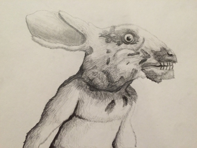 rabbit